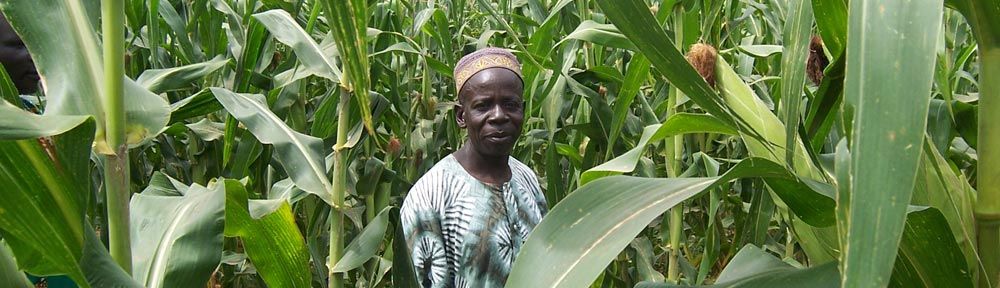 Nigeria unveils e-agric portal to boost food production.