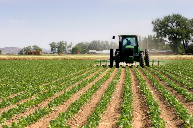 PWC: Technology innovation, ‘catalyst to boost Africa’s agriculture production’